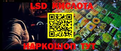 стаф Ярославль