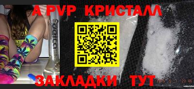 стаф Ярославль