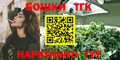 стаф Ярославль