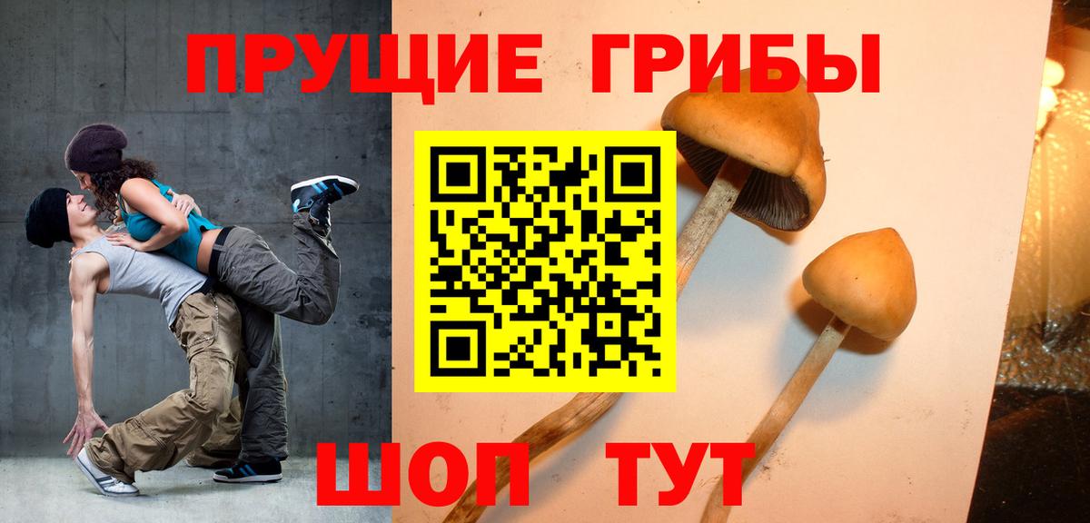 Архангельск  Псилоцибиновые грибы прущие грибы  Вход с VPN 